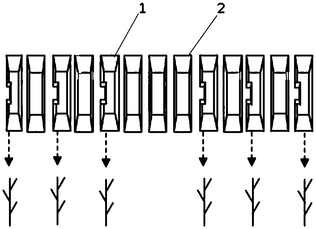 A strip planting method for mechanically harvesting millet without ear entanglement
