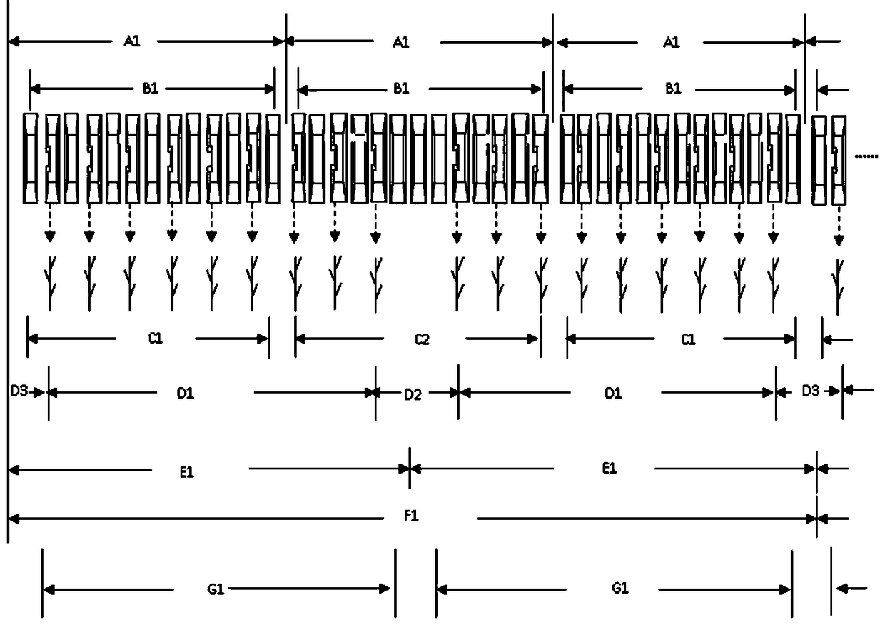 A strip planting method for mechanically harvesting millet without ear entanglement