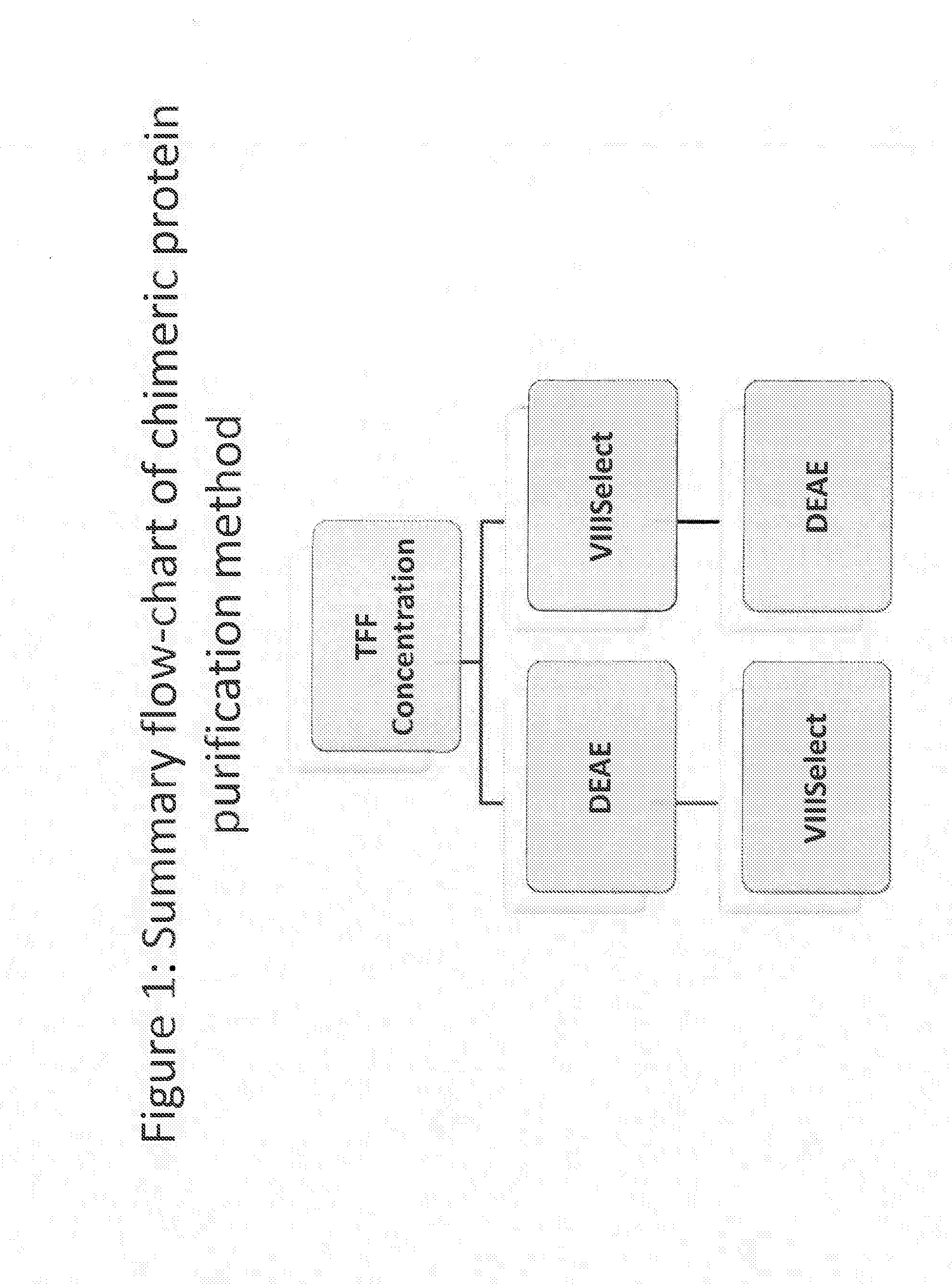 Purification of chimeric fviii molecules