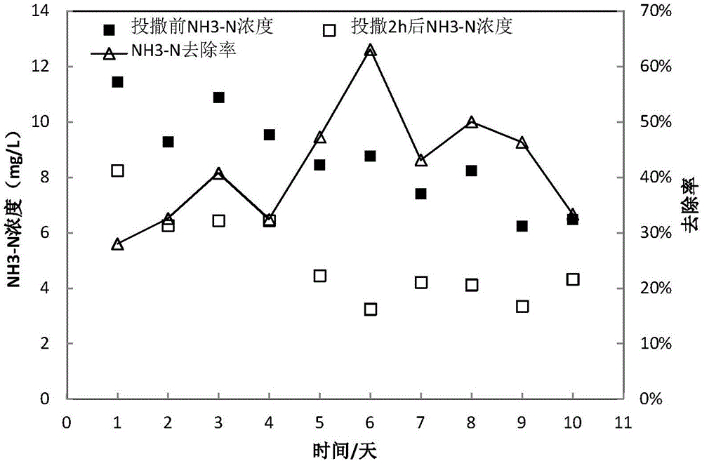 Composite microbiological preparation for governing black-odor river and preparation method and application thereof