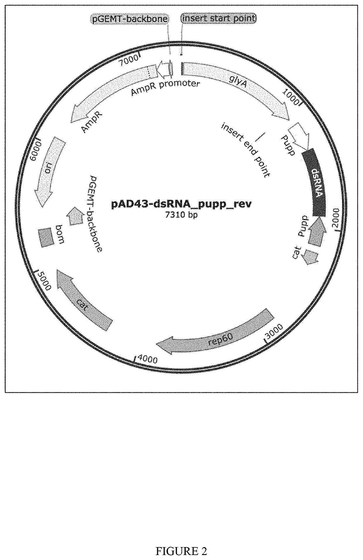 System for the biocontrol of white spot syndrome virus (WSSV) in aquaculture