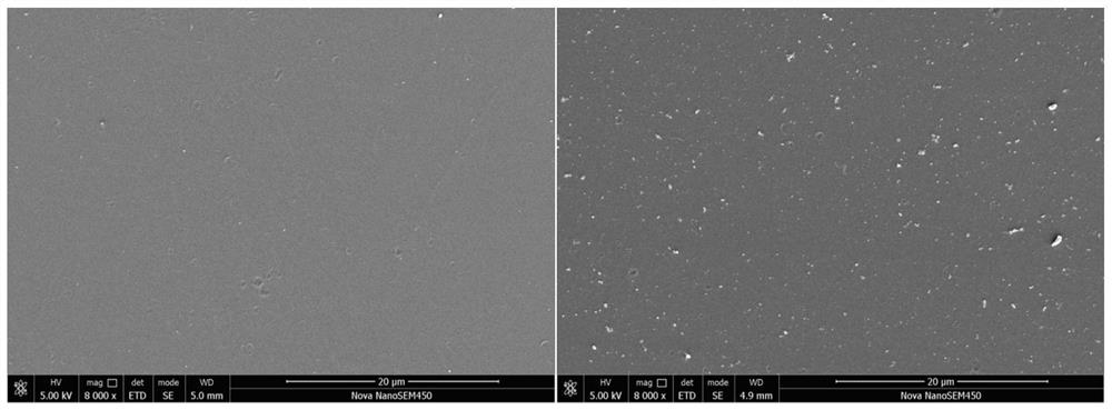 Multifunctional biomedical coating material based on traditional Chinese medicine Magnolia officinalis and preparation method thereof