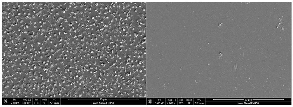 Multifunctional biomedical coating material based on traditional Chinese medicine Magnolia officinalis and preparation method thereof