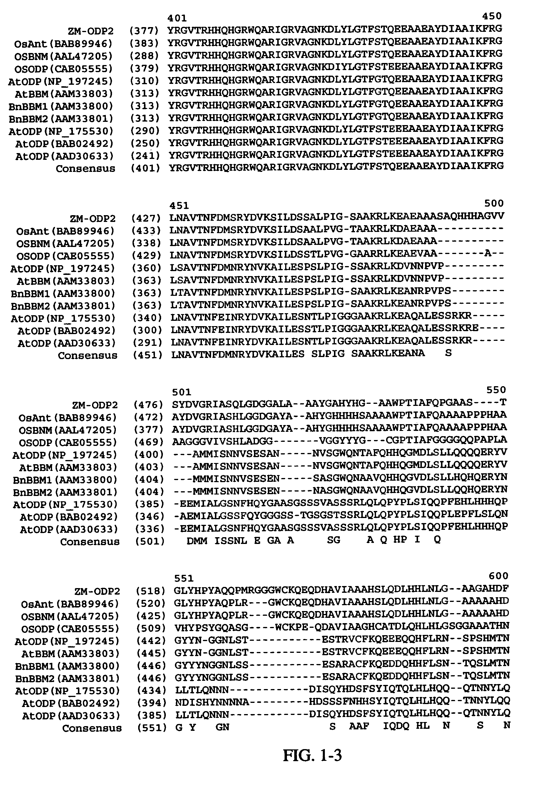 AP2 domain transcription factor ODP2 (ovule development protein 2) and methods of use