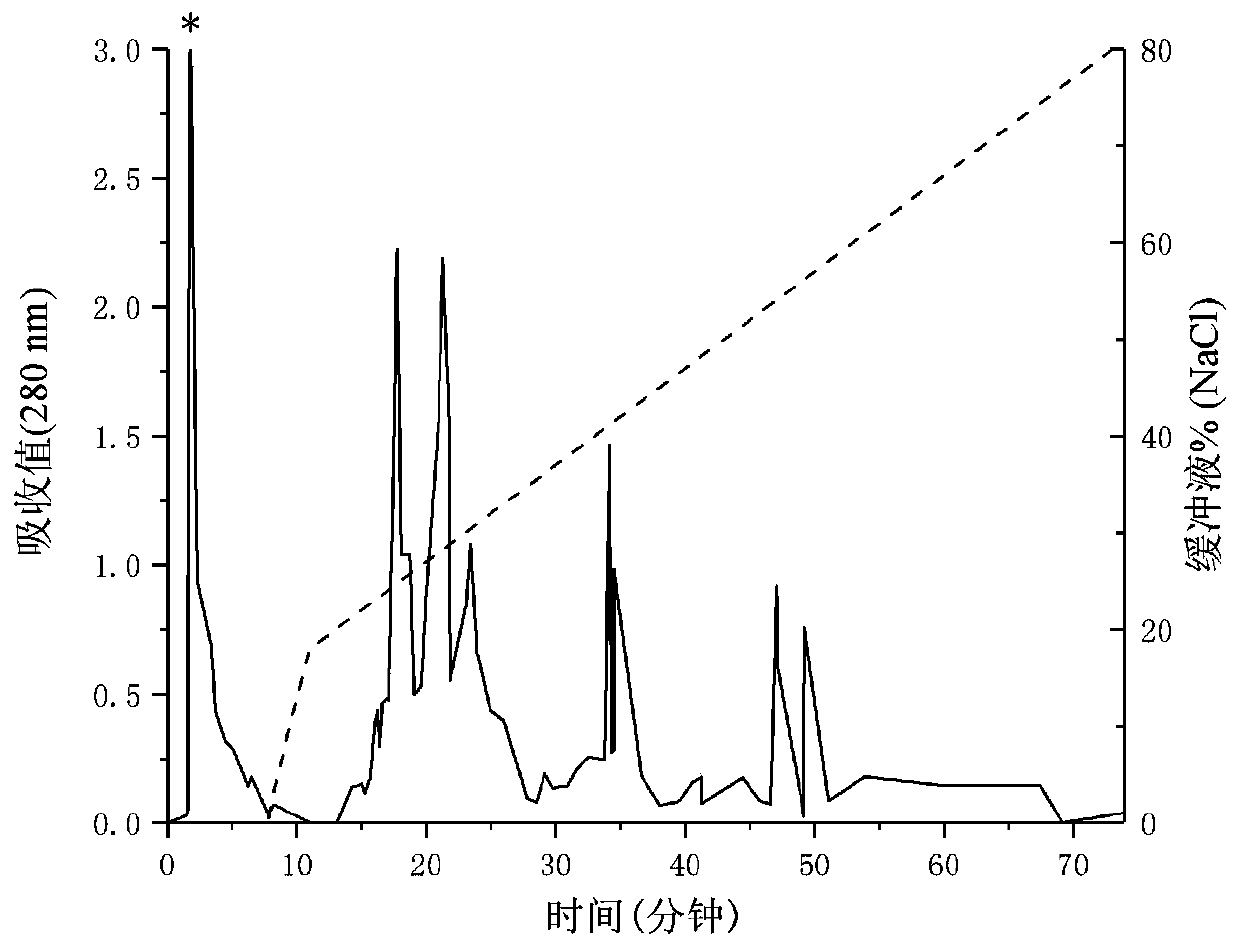 Vespa magnifica peptide WVD-I, and preparation method and applications thereof