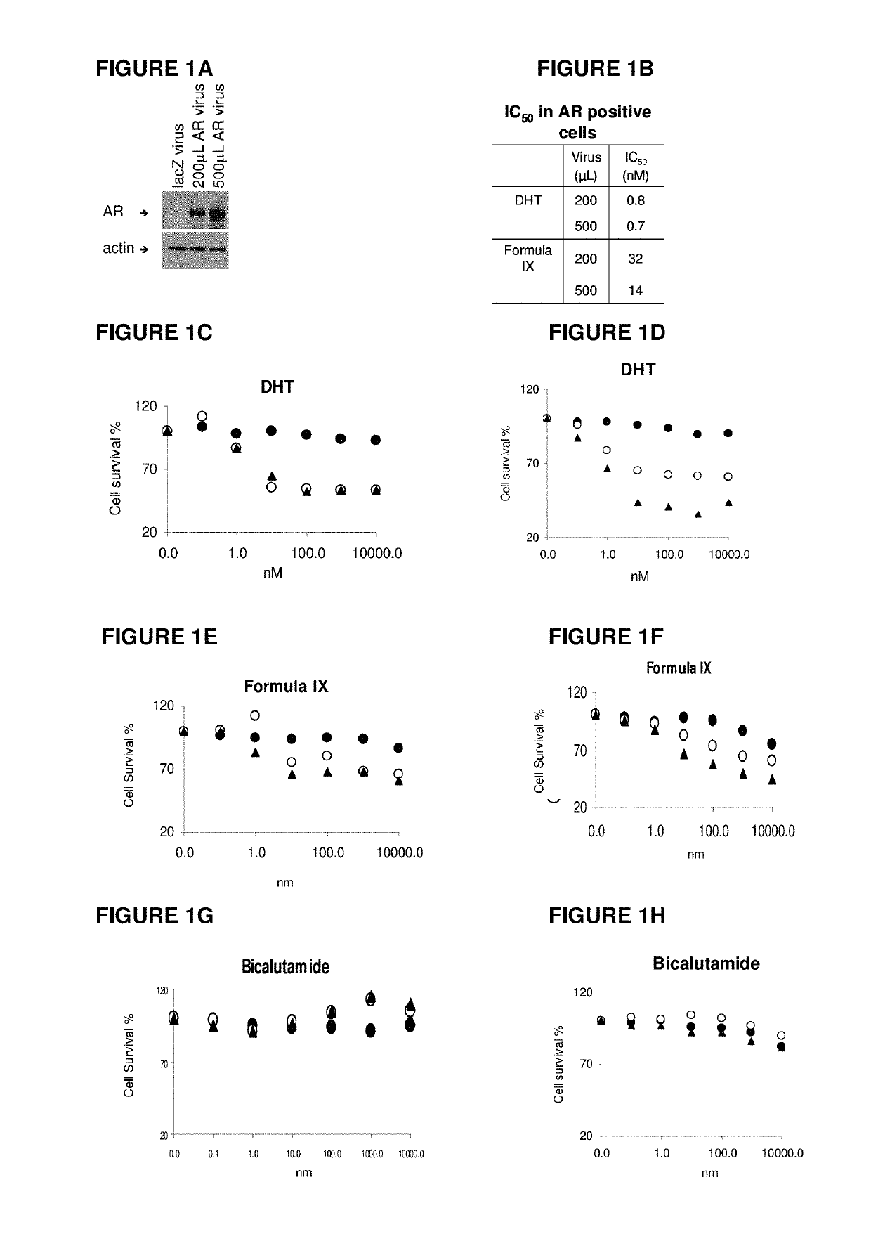 Method of treating HER2-positive breast cancers with selective androgen receptor modulators (SARMS)