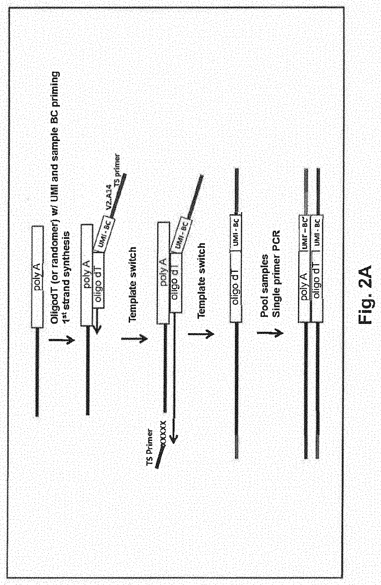 Multiplexed Single Cell Gene Expression Analysis Using Template Switch and Tagmentation