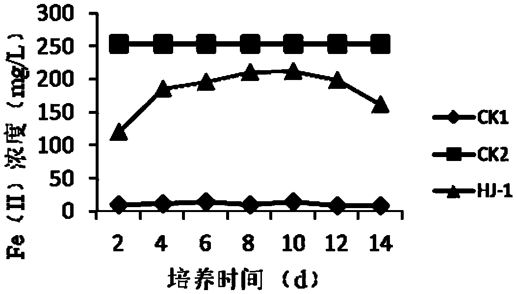 Microbial agent containing bacillus bataviensis HJ-1 and application of microbial agent