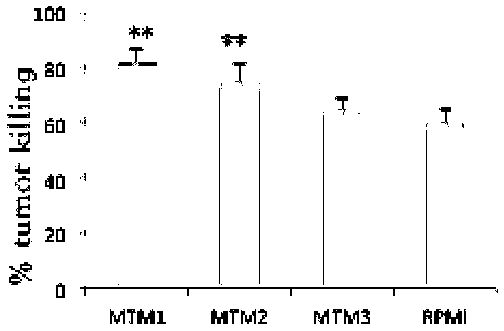 Improved RPMI1640 culture medium and application thereof