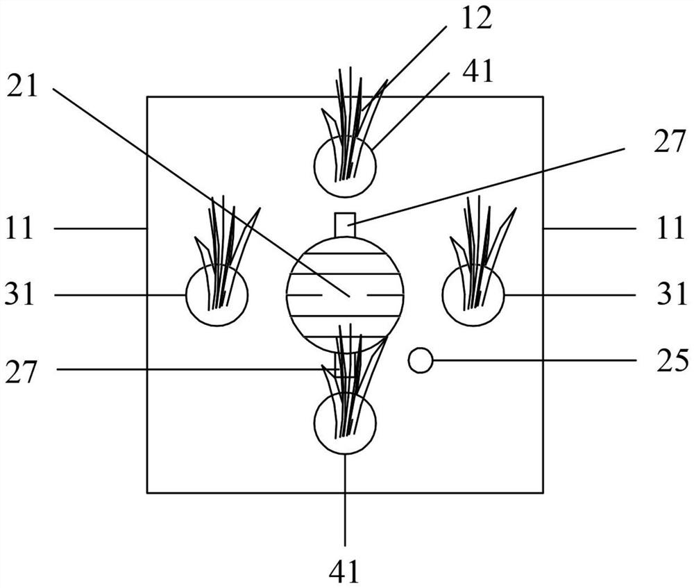 Contact oxidation and ultraviolet combined type circulating flow ecological water purification system