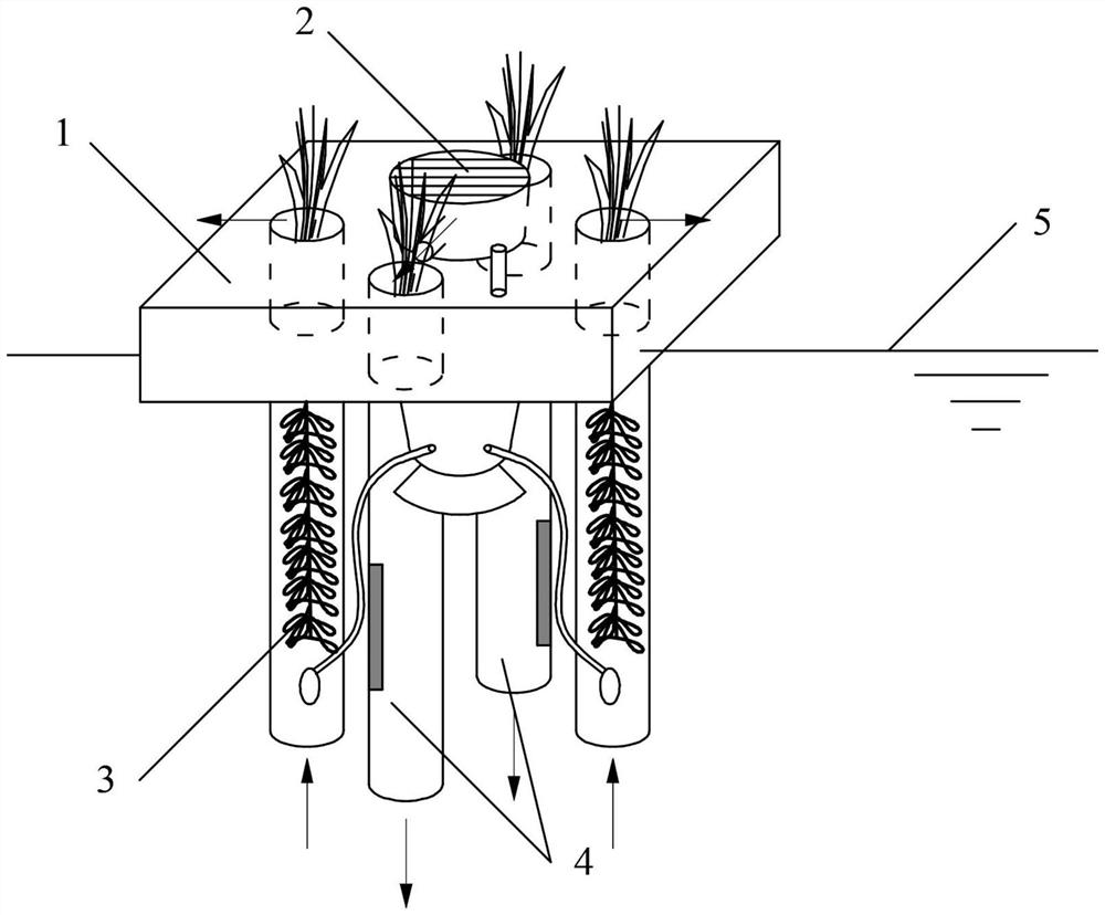 Contact oxidation and ultraviolet combined type circulating flow ecological water purification system