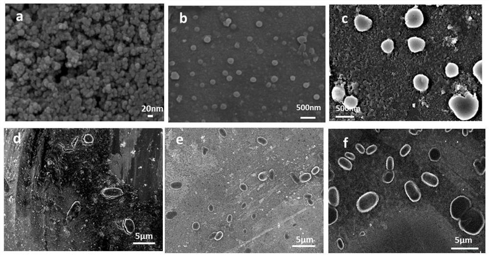 Lignin-based pH-responsive magnetic nano-drug carrier as well as preparation method and application thereof