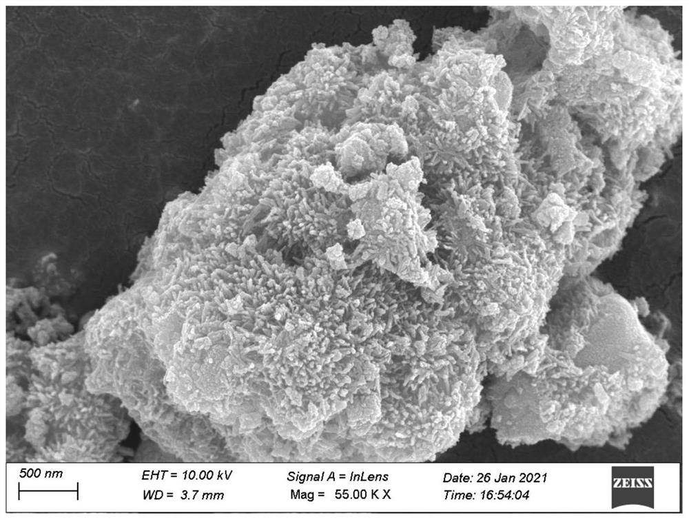 Coralline TiOF2 photocatalyst and preparation method and application thereof