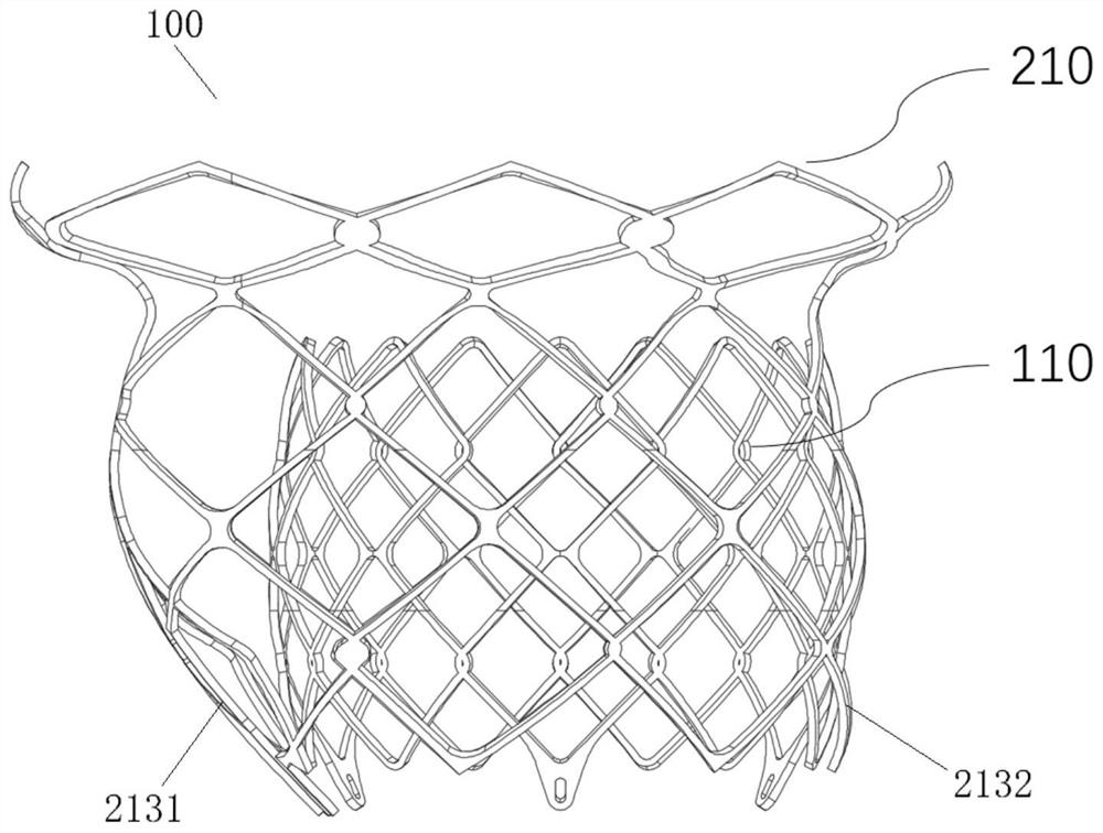 Cardiac valve prosthesis