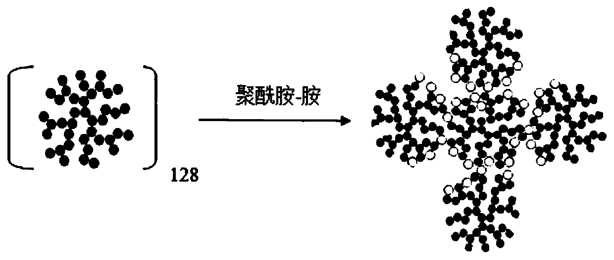 Polyamidoamine structure polymer for secondary antibody detection system and preparation method thereof