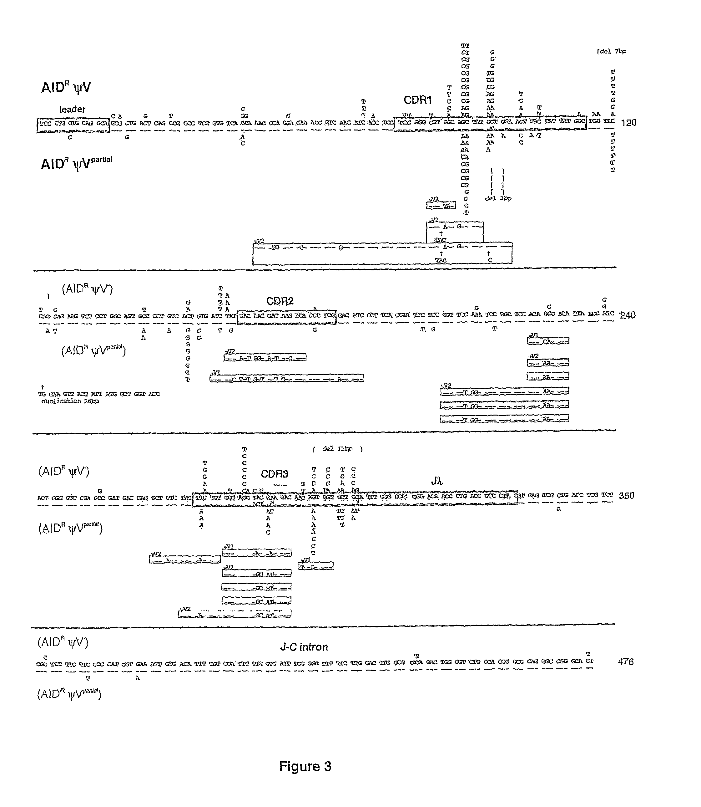 Methods for genetic diversification in gene conversion active cells