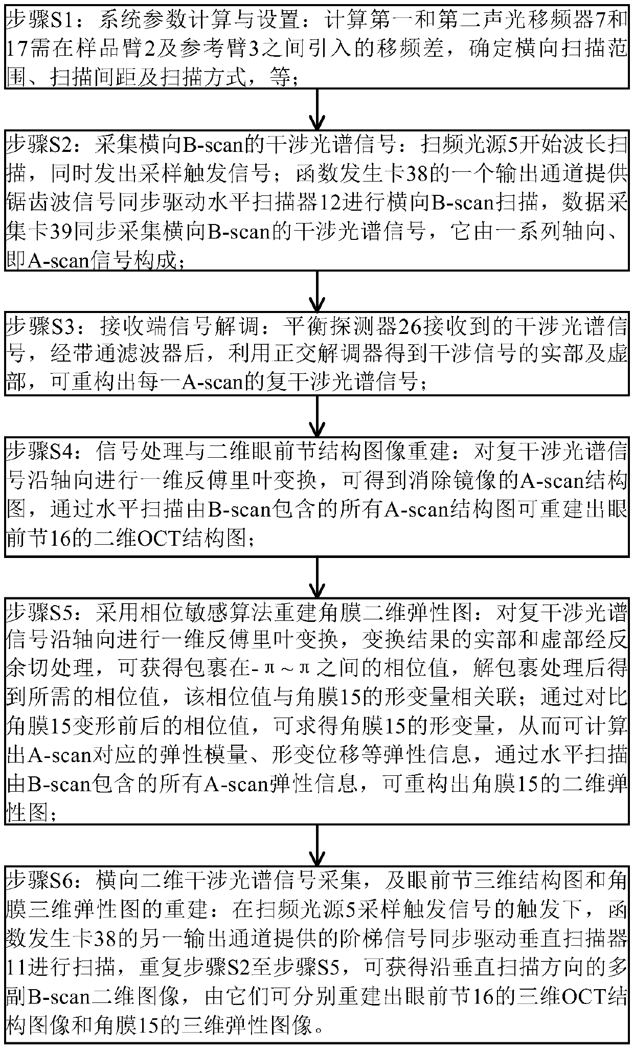 System and method combining corneal elastography with anterior segment structural imaging