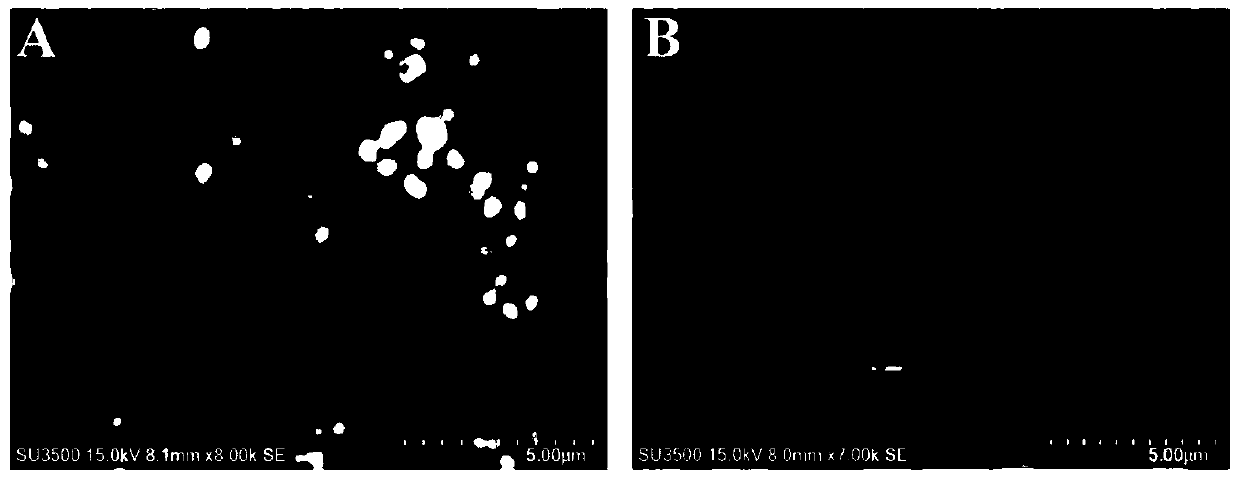 A nitrogen-doped carbon-coated magnetic nanoparticle composite microsphere and its preparation method