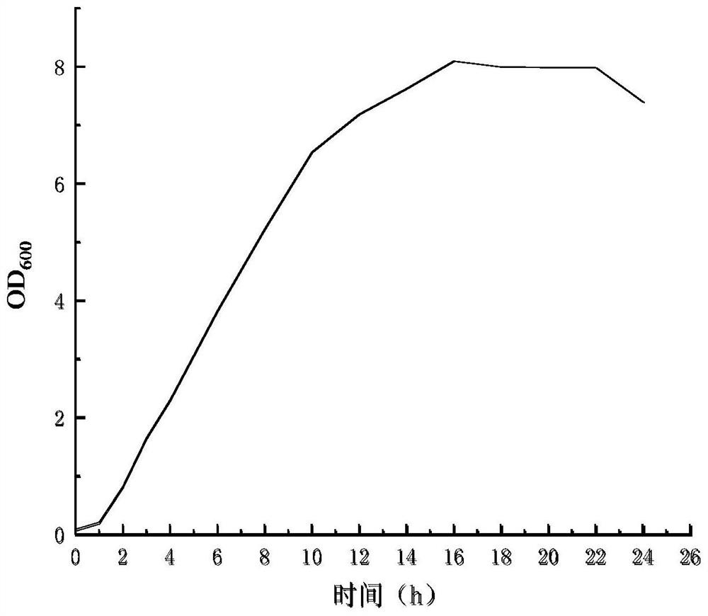 Acinetobacter strain and application thereof