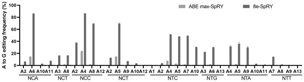 Adenine base editor fusion protein without PAM limitation and application