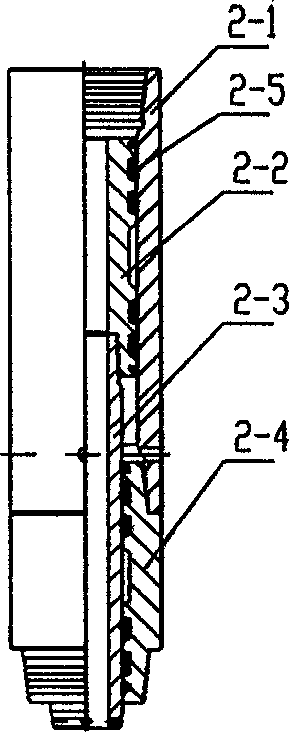 Flexible pressurizing and damping device for drill bit