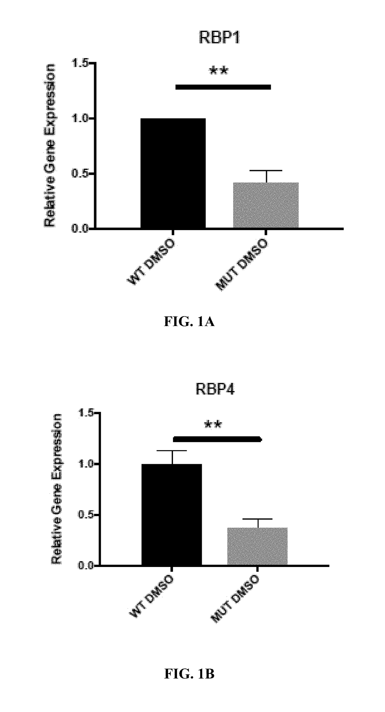 Retinoid compositions and methods of increasing immune cell-mediated killing of idh mutant cancer cells