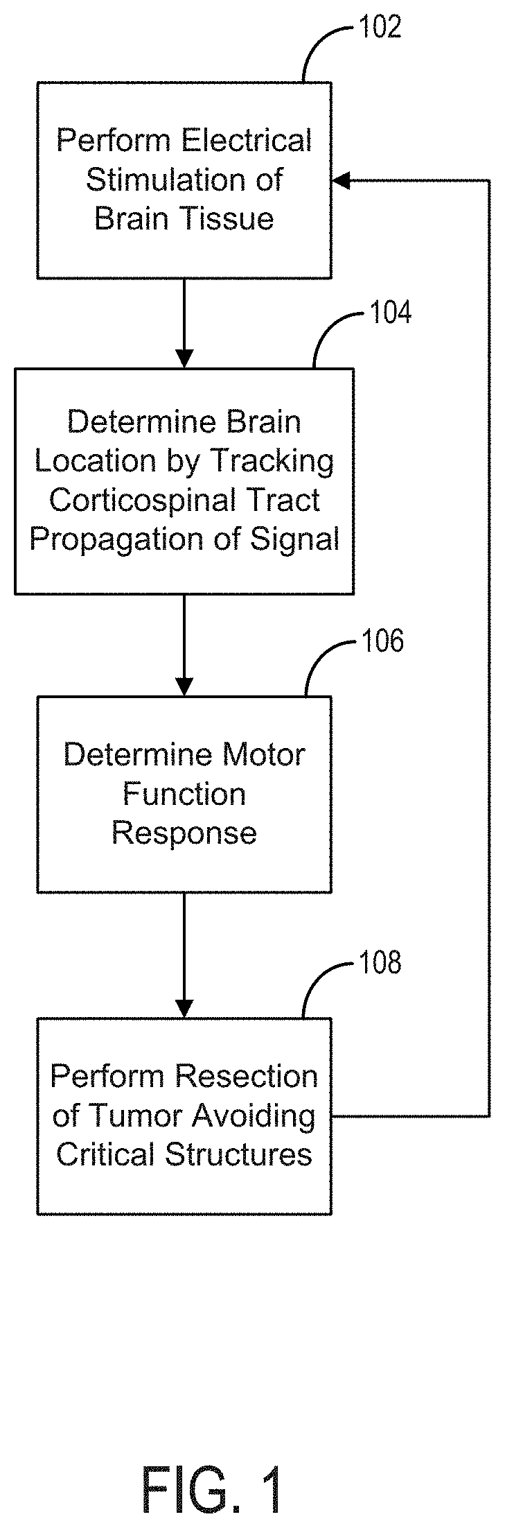 Systems and Methods for a Simulator for Brain Mapping