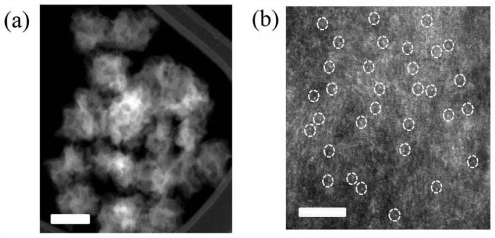 Method and application of metal phthalocyanine molecular precursors to construct single-site electrocatalysts