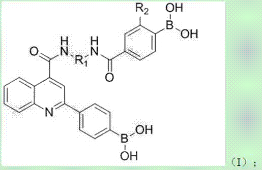 Hypoboric acid derivative based on 2-(4-dyhydroxy borane)pheoylquinoline-4-carboxylic acid and preparation method and application thereof