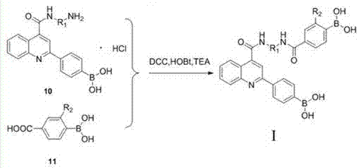 Hypoboric acid derivative based on 2-(4-dyhydroxy borane)pheoylquinoline-4-carboxylic acid and preparation method and application thereof