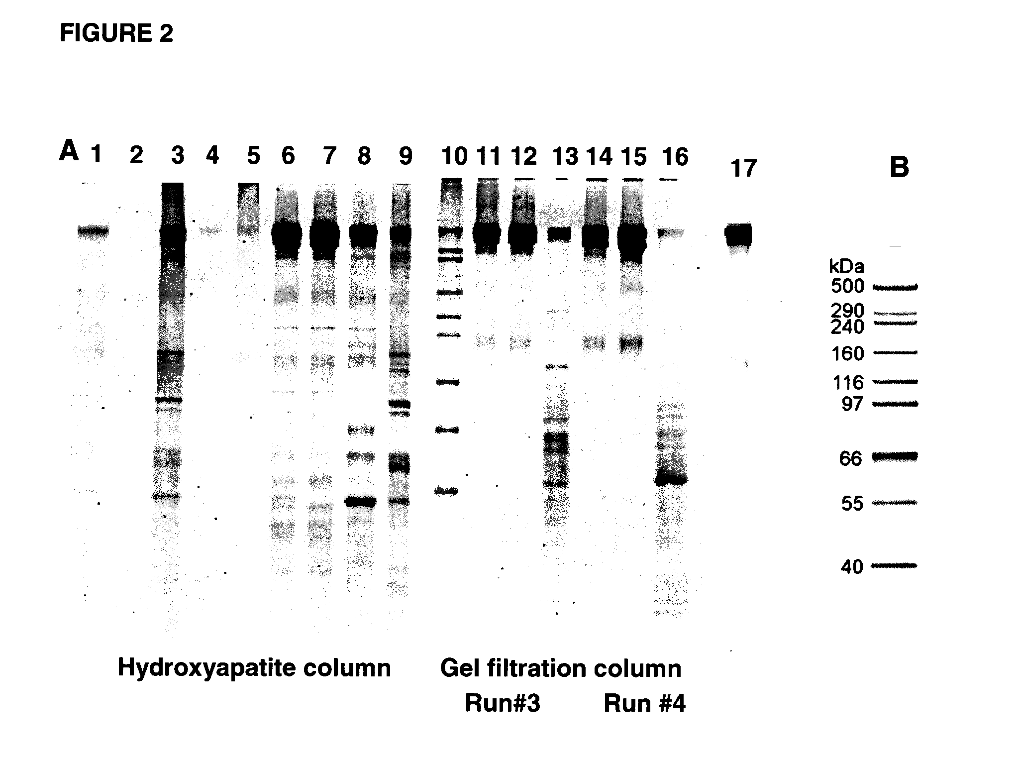 SOLUBLE IGF RECEPTOR Fc FUSION PROTEINS AND USES THEREOF