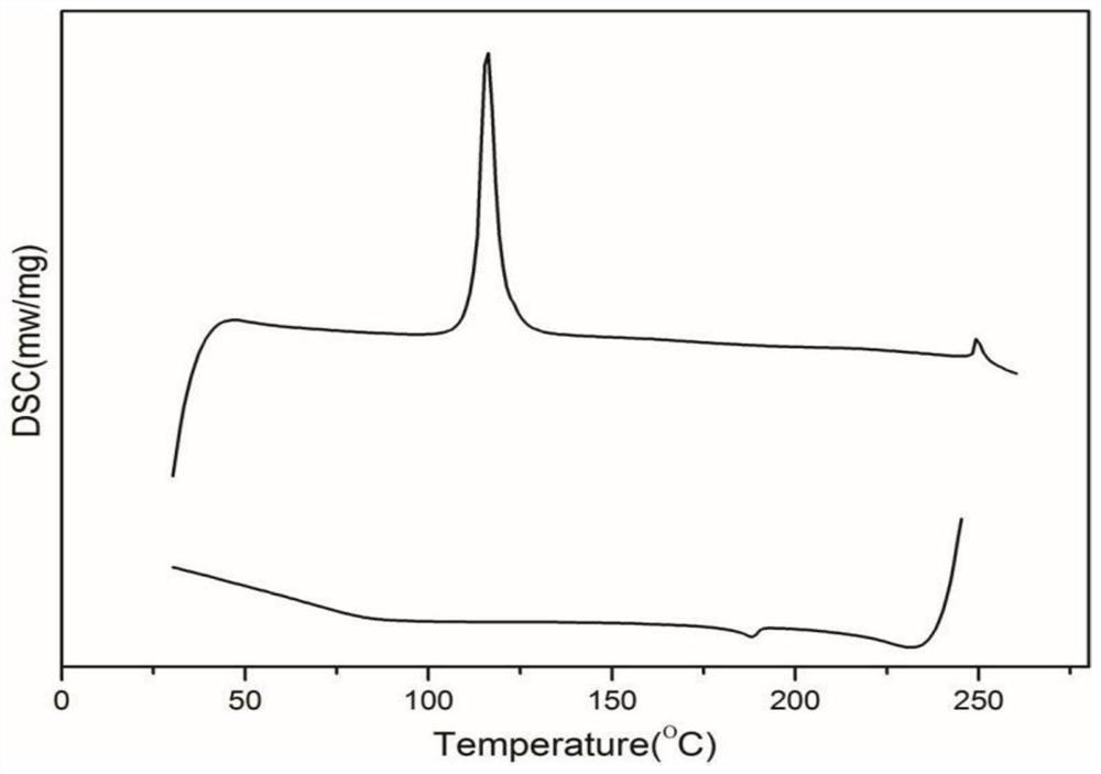 A bonded fluorescent rare earth liquid crystal ionomer and its preparation method