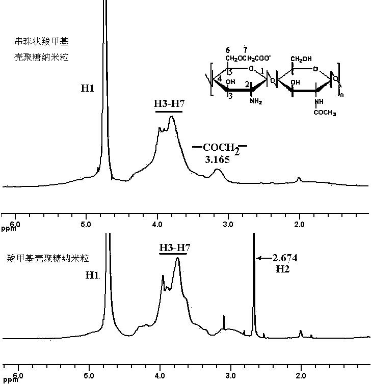 Bead-shaped amphipathic nano particle as well as preparation method and application thereof