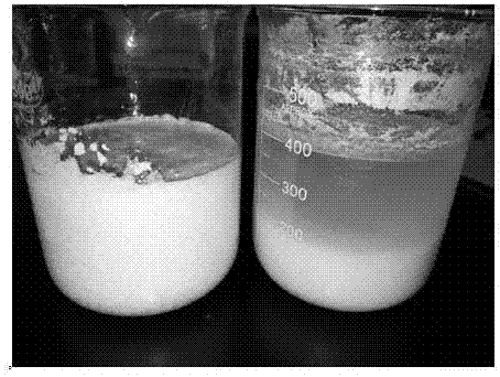 Preparation method of ethyl lauroyl arginate hydrochloride