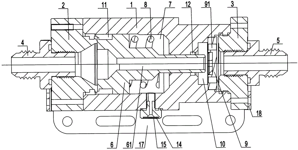 Natural gas pressure regulator for car