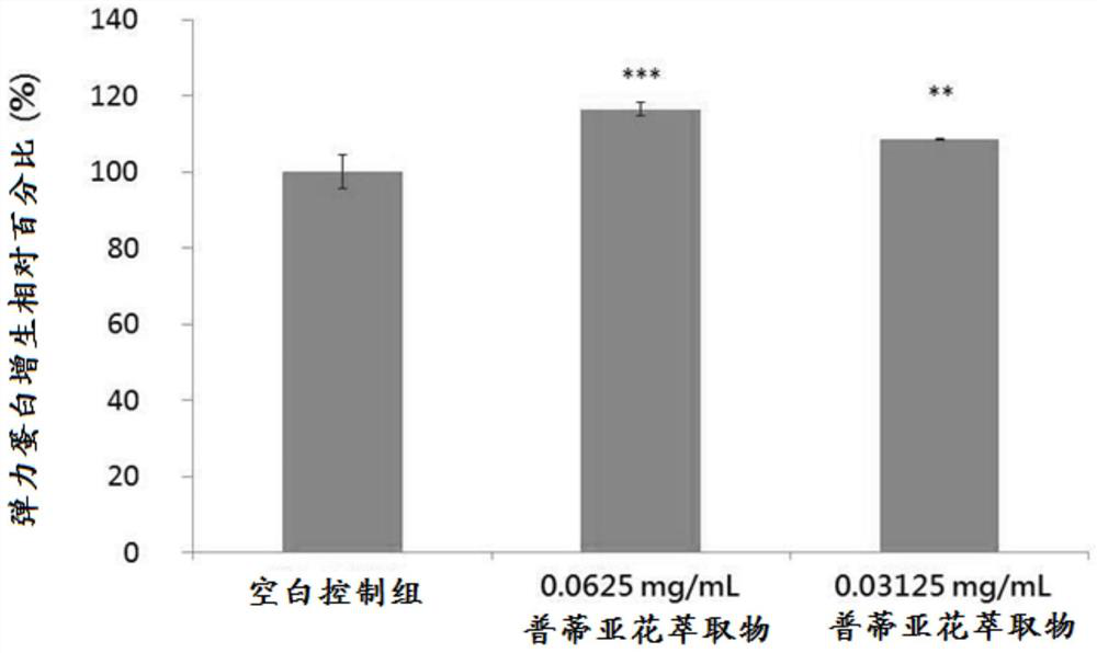 Application of protea cynaroides extract in preparation of skin anti-aging composition