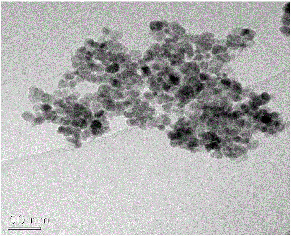Preparation method for separating lysozyme by amino-functionalized magnetic nanoparticles