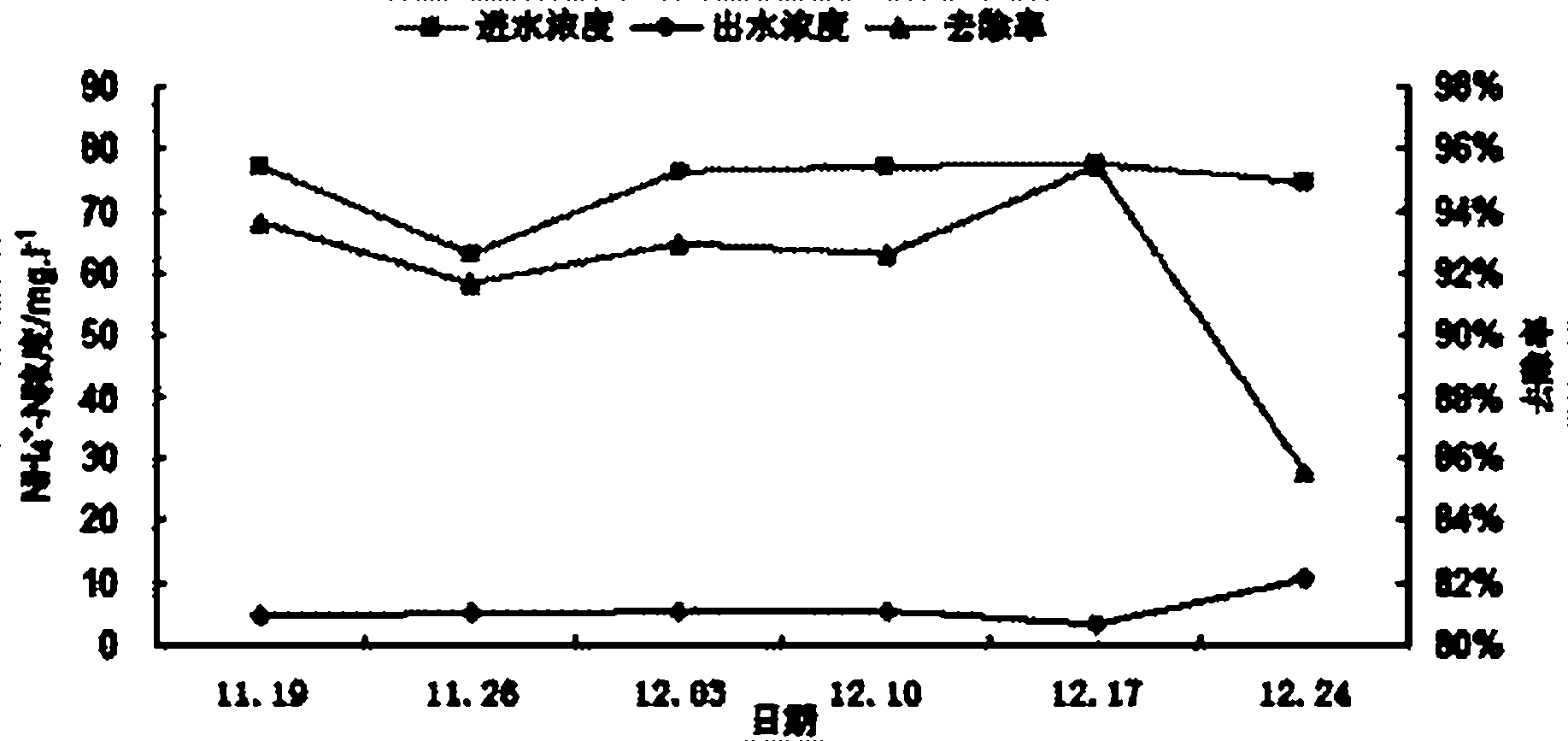 Application of ligularia sibirica in treating livestock and poultry breeding waste water