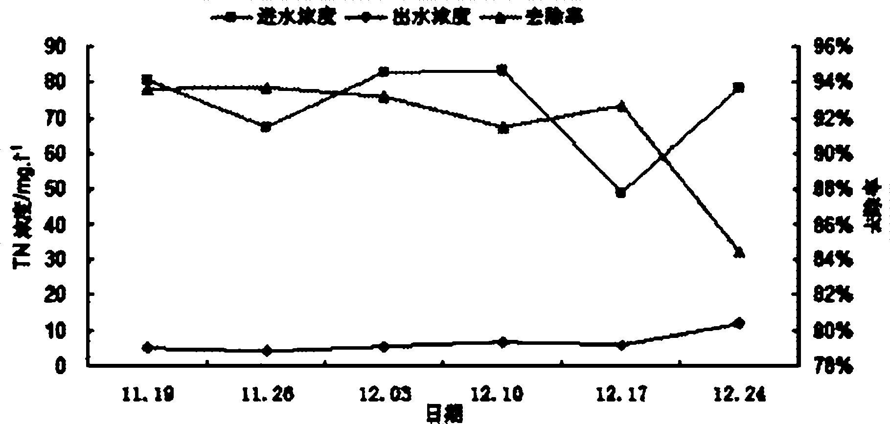 Application of ligularia sibirica in treating livestock and poultry breeding waste water