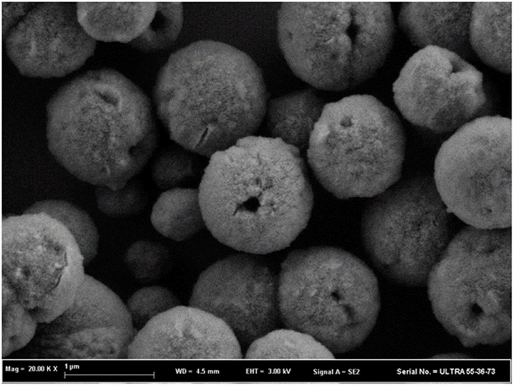 Vaterite calcium carbonate microspheres and preparation method thereof