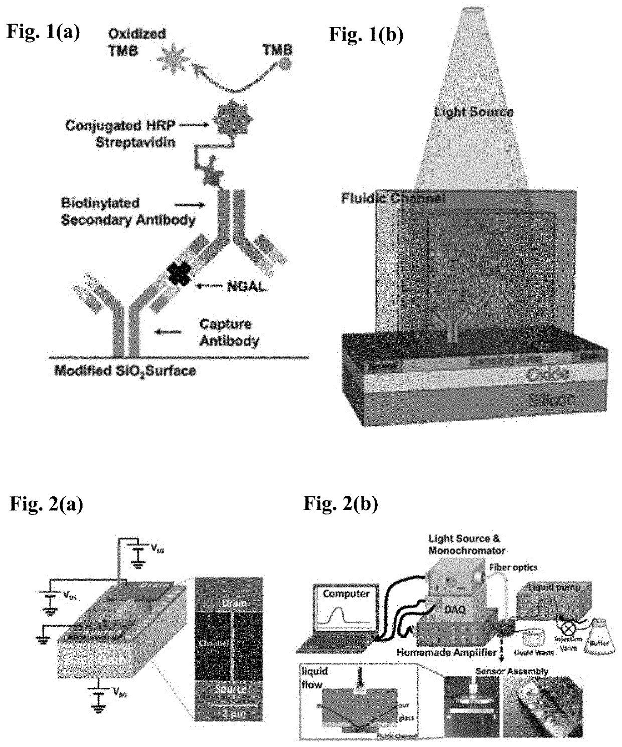 Dual function electro-optical silicon field-effect transistor molecular sensor