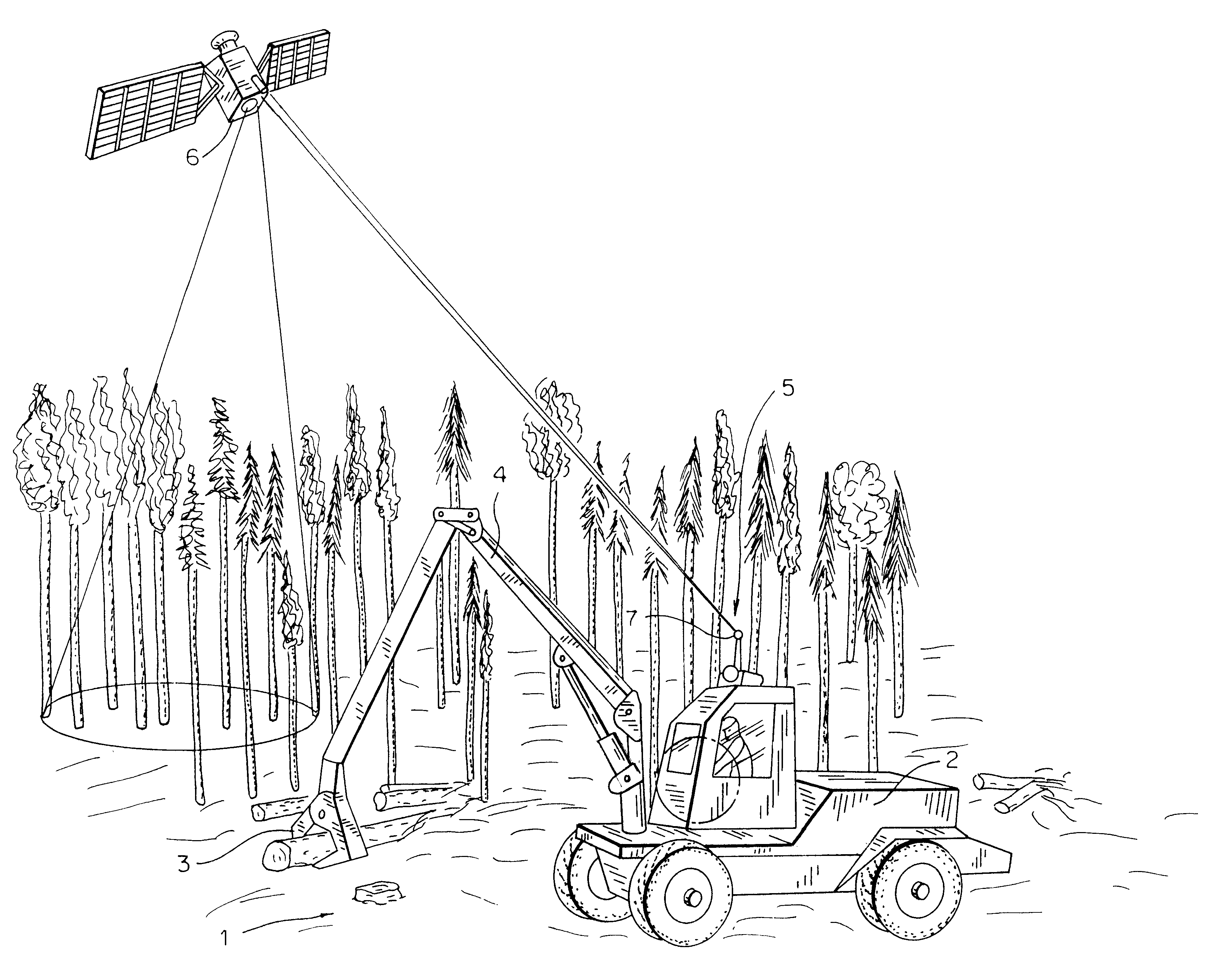 Method for timber harvesting and system for forestry