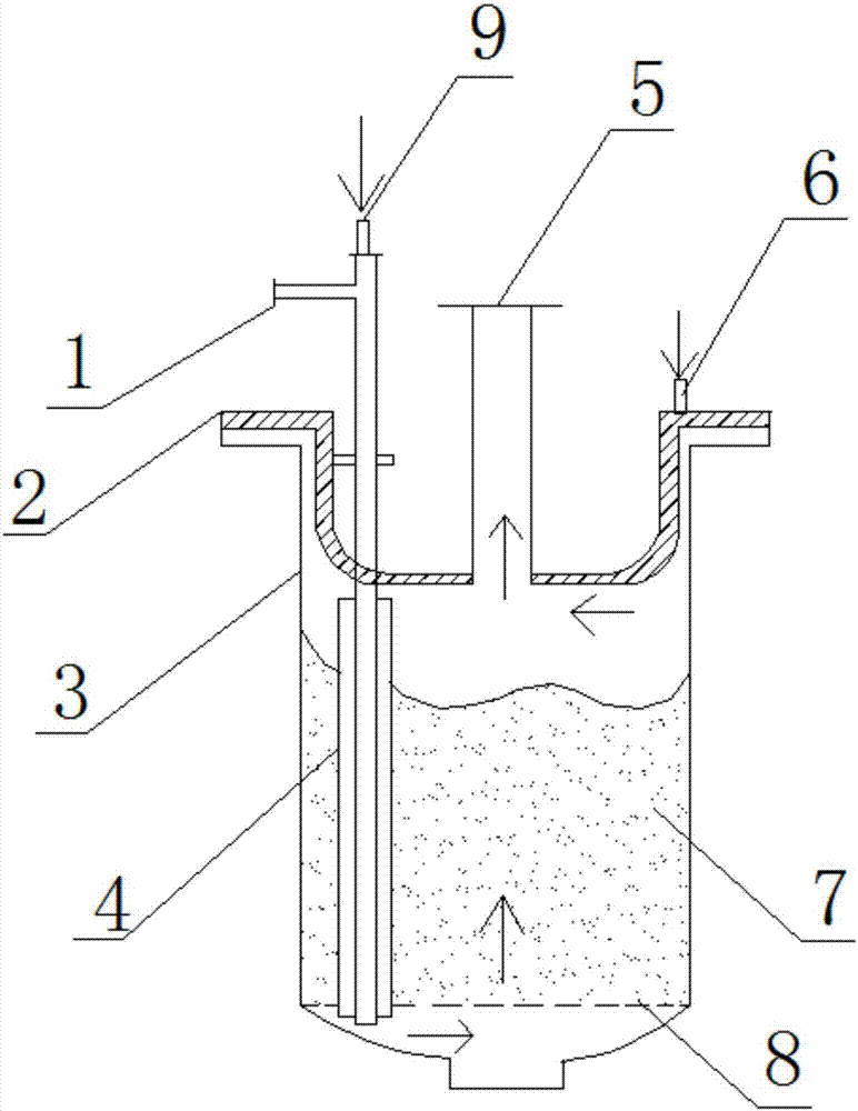 Argon introducing device and method for magnesium sponge titanium production