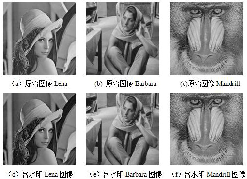 Digital image watermark detection method based on multi-correlation hmt model