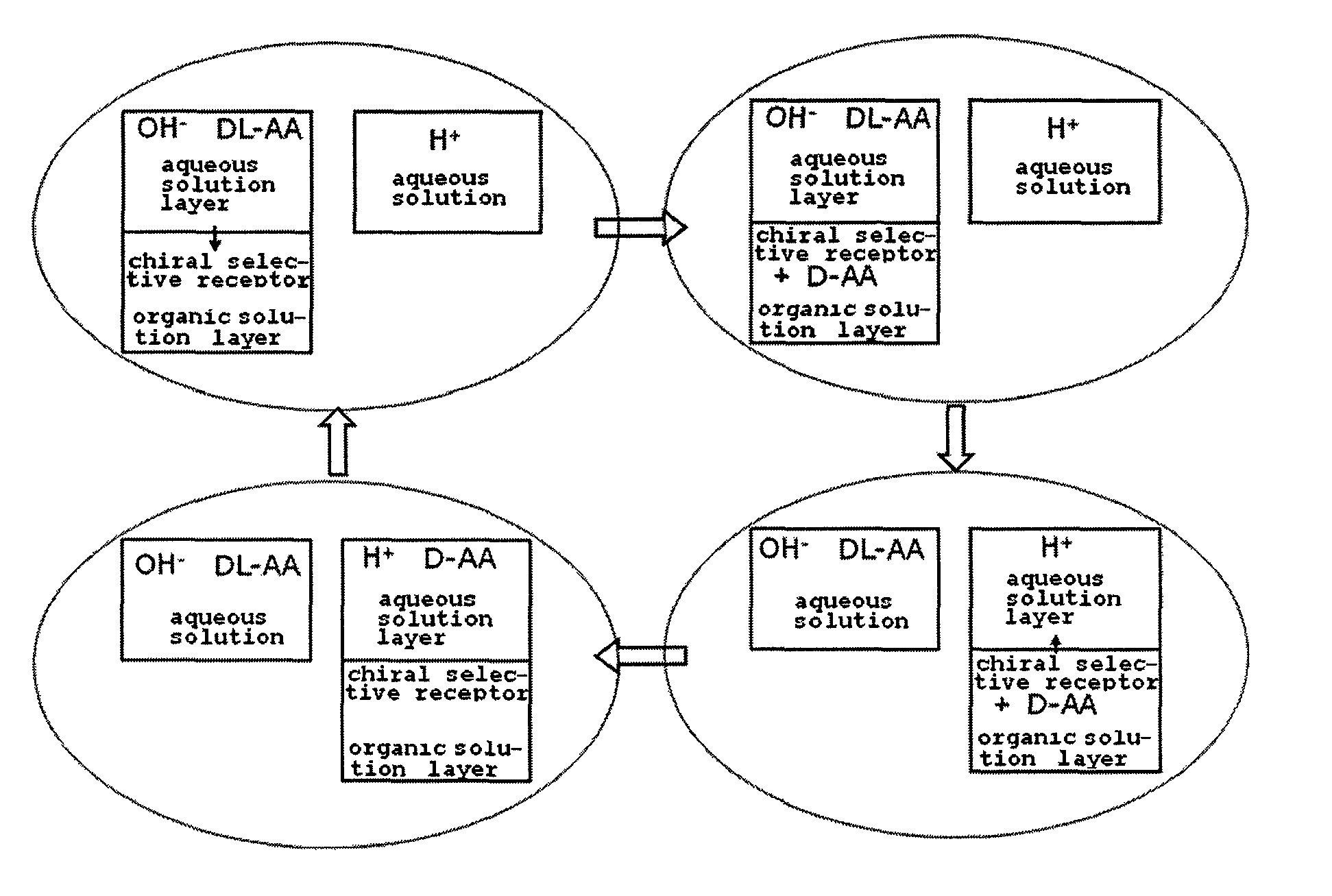 Method for obtaining optically pure amino acids