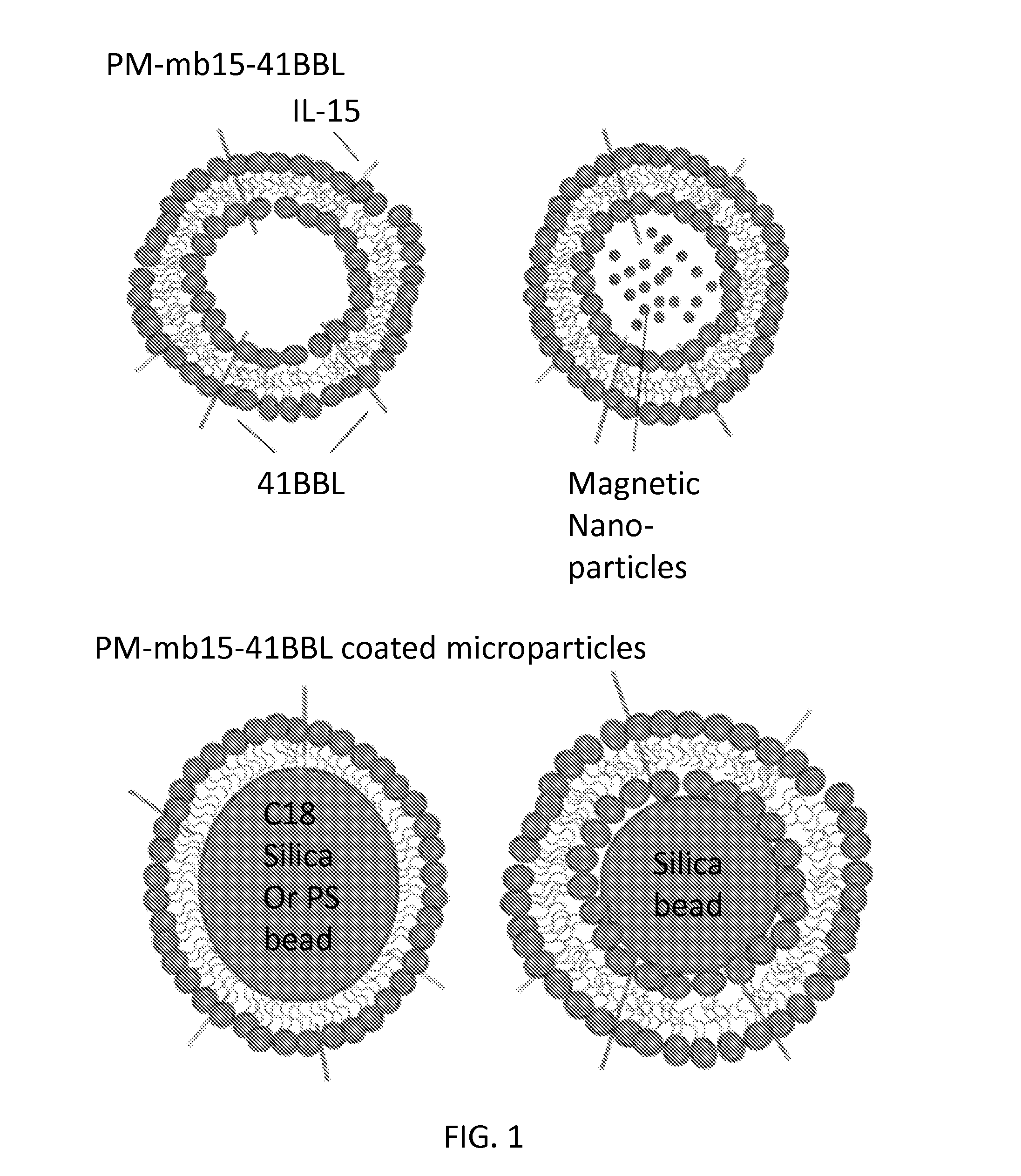 Methods and Compositions for Natural Killer Cells