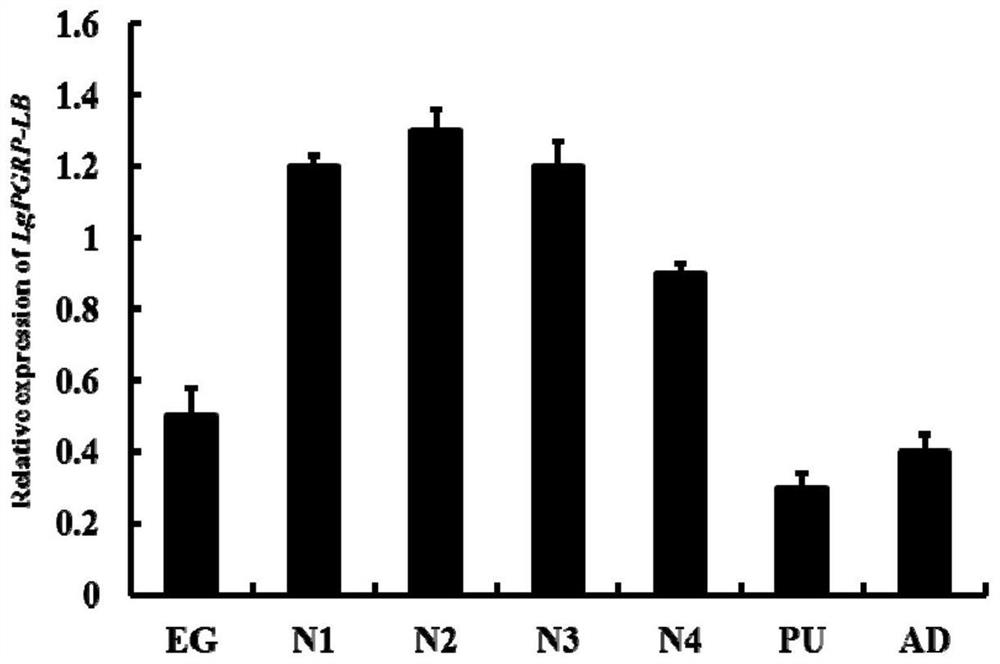 Soybean borer lgpgrp-lb gene and its application