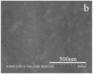 An electrochemical biosensor, its preparation method and use