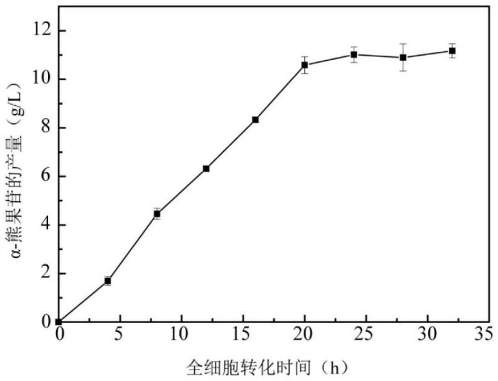 Genetic engineering strain for synthesizing alpha-arbutin as well as construction method and application of genetic engineering strain