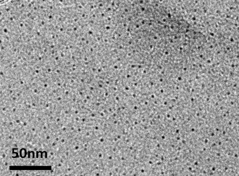 A kind of preparation method of hydrophobic carbon point modified forward osmosis composite membrane